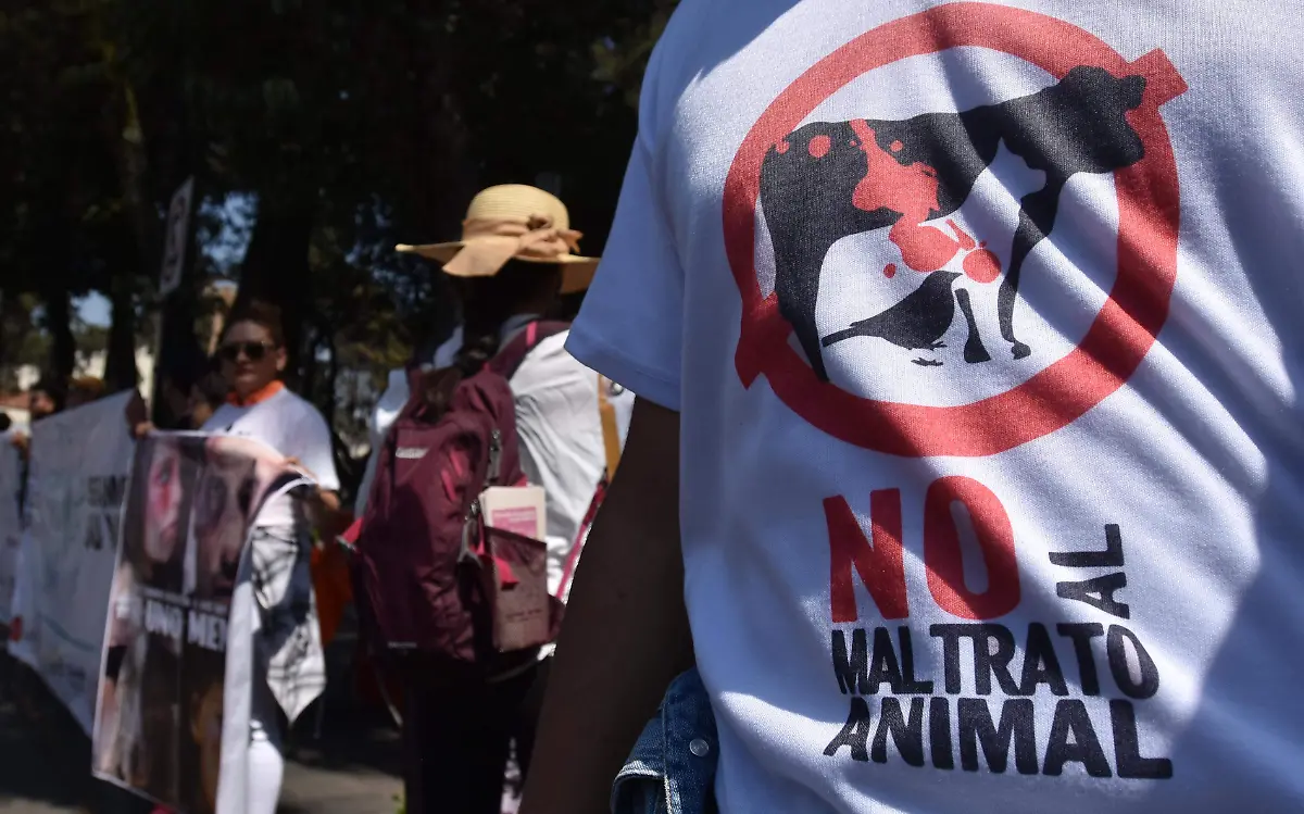 MARCHA MALTRATO ANIMAL 01